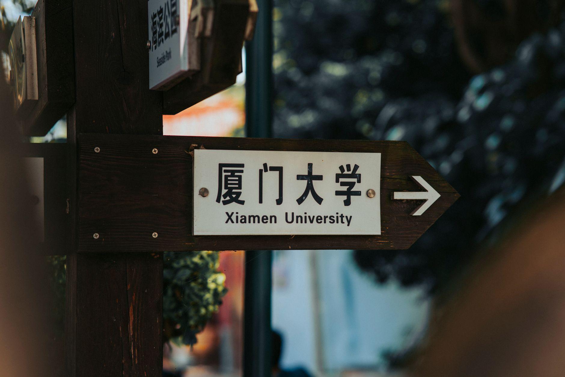 AI品牌权威的真正