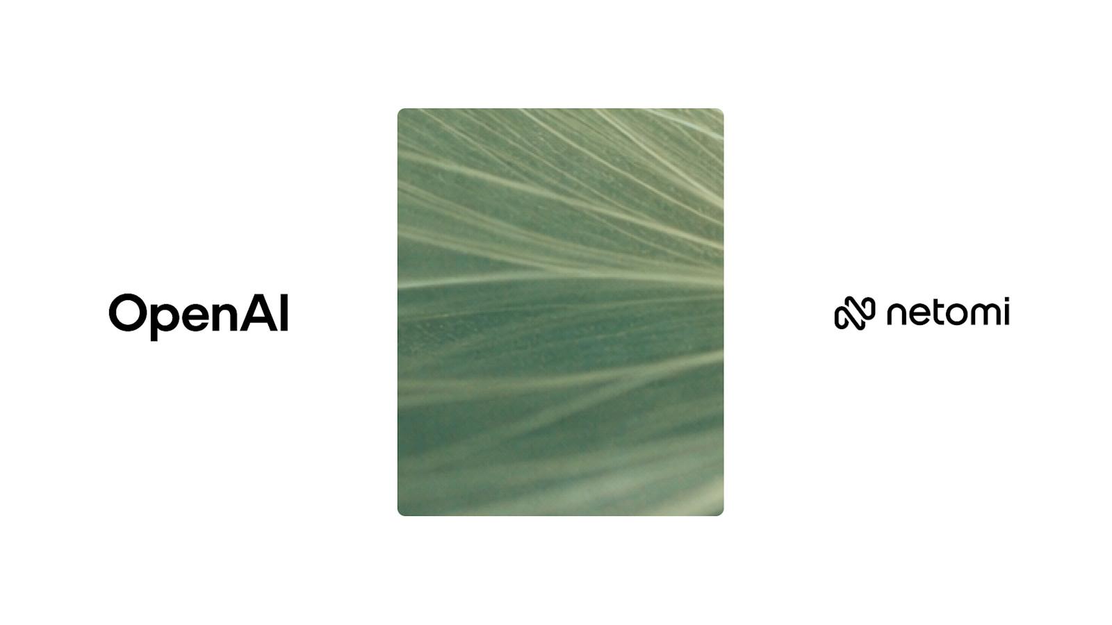 Netomi 的企业级 AI Agent 规模化部署经验:从 GPT-4.1 到 GPT-5.2 的实战蓝图