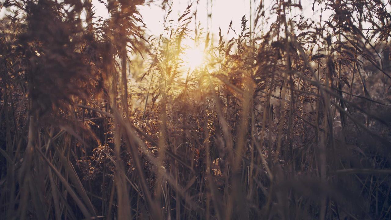 Meoo秒悟团队版全量上线,接入Qwen-3.8-Max,企业AI生产力平台正式落地